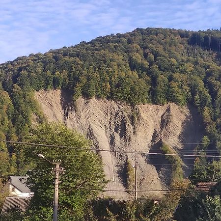 "У Пасічника" Котедж Для Сім'Ї Jaremče Exteriér fotografie