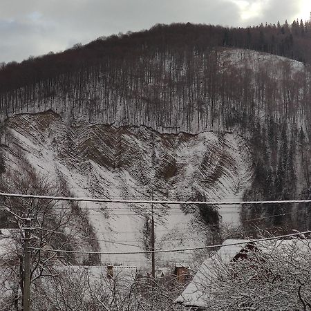 "У Пасічника" Котедж Для Сім'Ї Jaremče Exteriér fotografie
