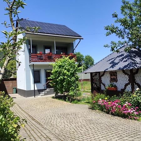 "У Пасічника" Котедж Для Сім'Ї Jaremče Exteriér fotografie