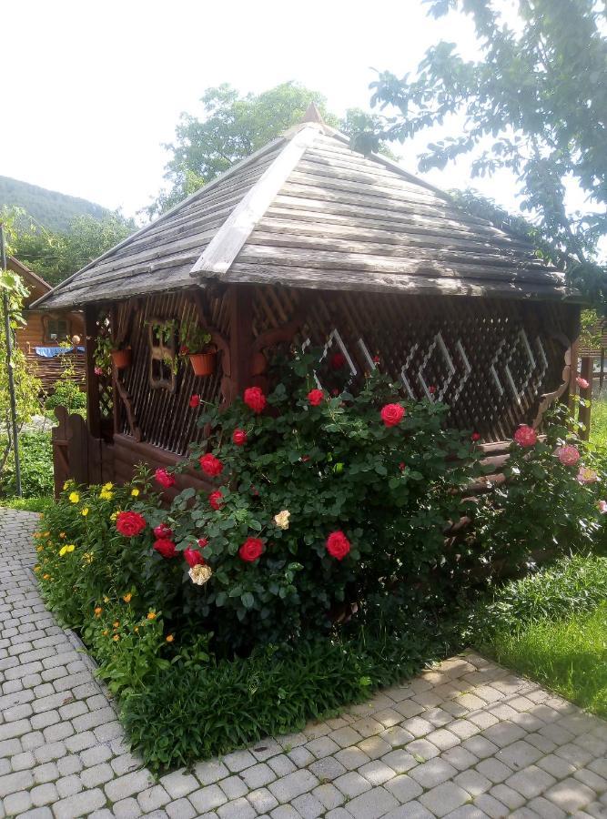 "У Пасічника" Котедж Для Сім'Ї Jaremče Exteriér fotografie