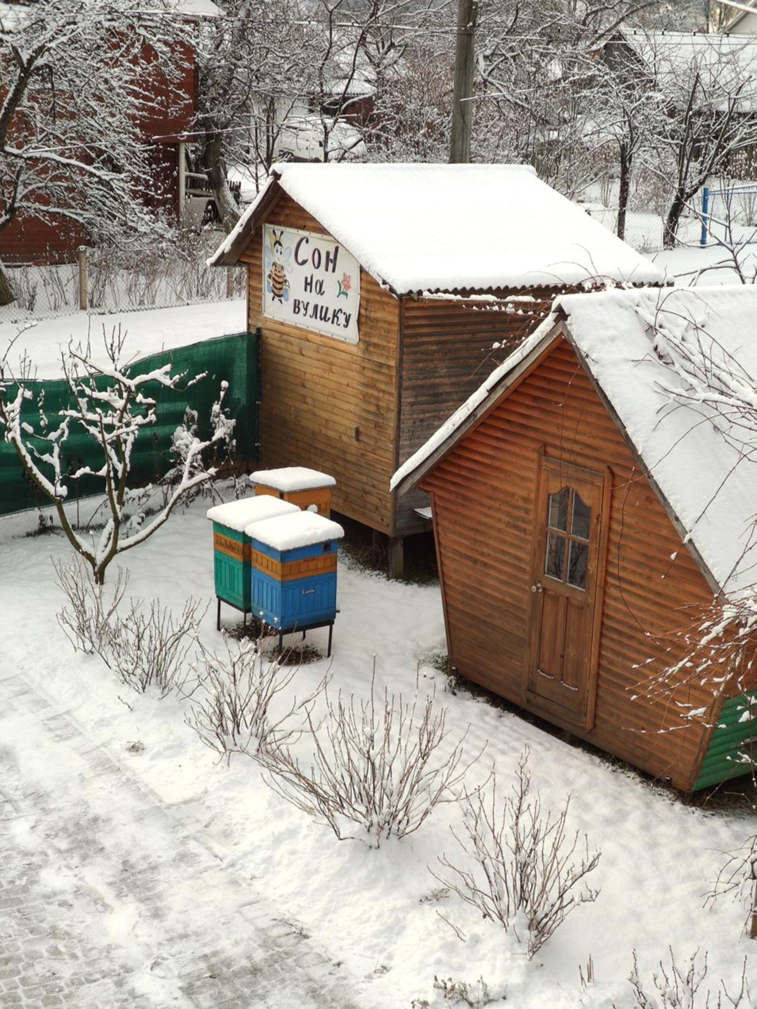 "У Пасічника" Котедж Для Сім'Ї Jaremče Exteriér fotografie