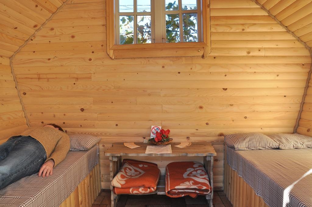 "У Пасічника" Котедж Для Сім'Ї Jaremče Exteriér fotografie