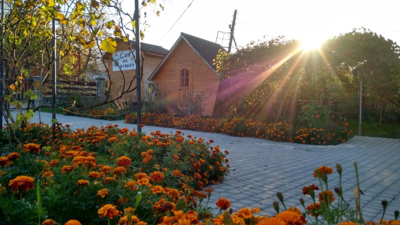 "У Пасічника" Котедж Для Сім'Ї Jaremče Exteriér fotografie